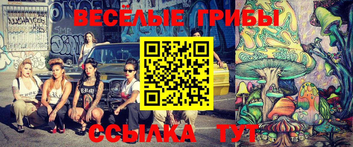 Галлюциногенные грибы Psilocybine cubensis Вышний Волочёк